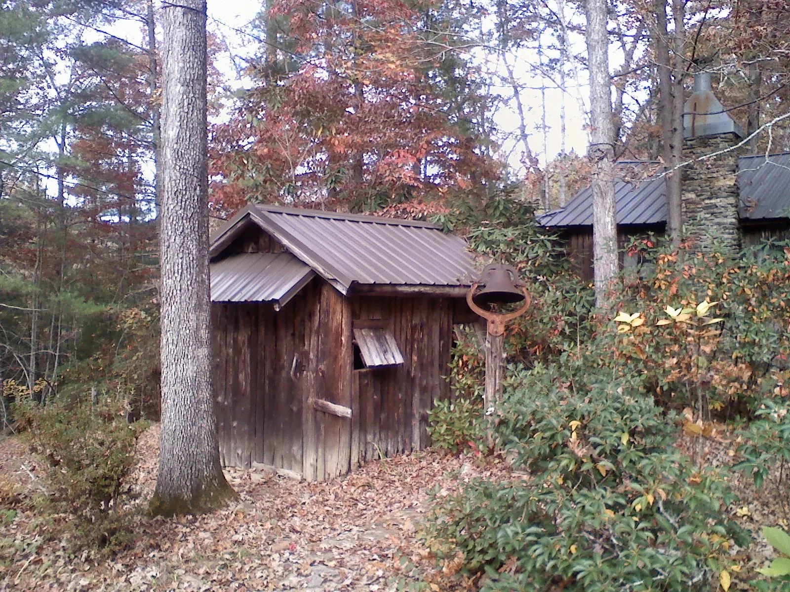 Small metal roof on a rough sawn shed in the woods in Lowell